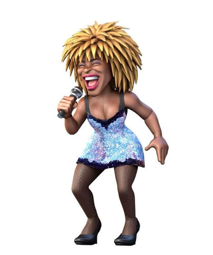 Minix Rocks " Tina Turner "